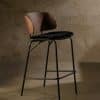 Sitz und Lehne Buche vintage