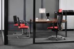 Freischwinger Intrata-V – Bild 7