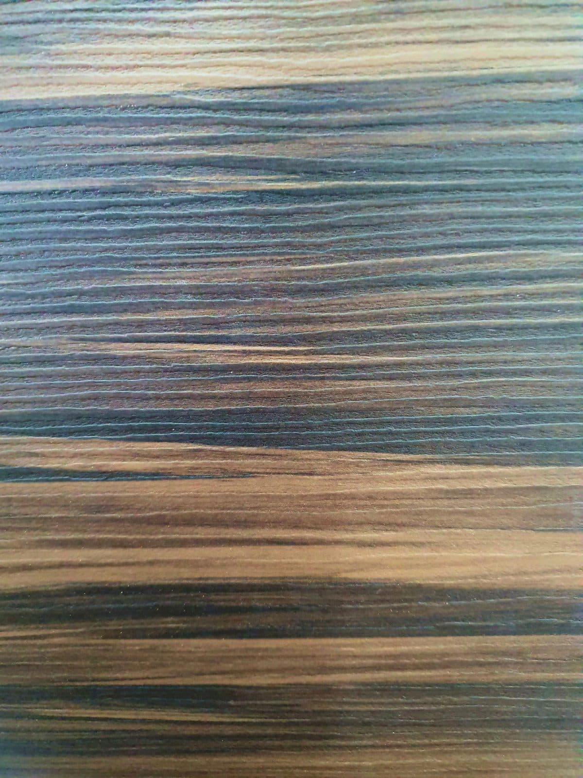 Bartisch Miguel – Bild 2