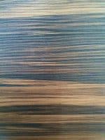 Bartisch Miguel – Bild 2